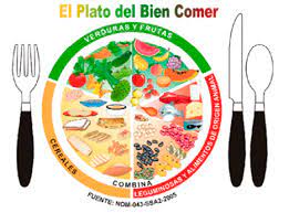 Cómo combinar ejercicio y alimentación saludable para perder grasa sin dietas milagrosas en Santo Domingo - VillaCon Online