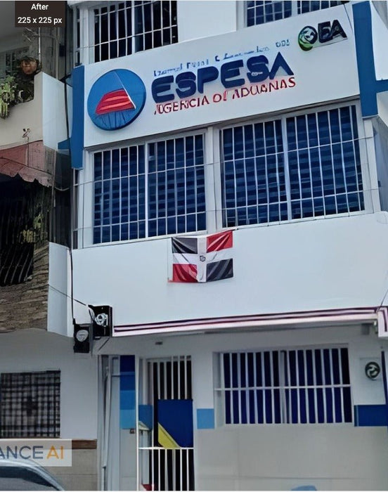 ESPESA Agente Aduanal Autorizado RD - VillaCon Online