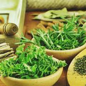 Mejora tu salud y bienestar con la medicina naturista - VillaCon Online