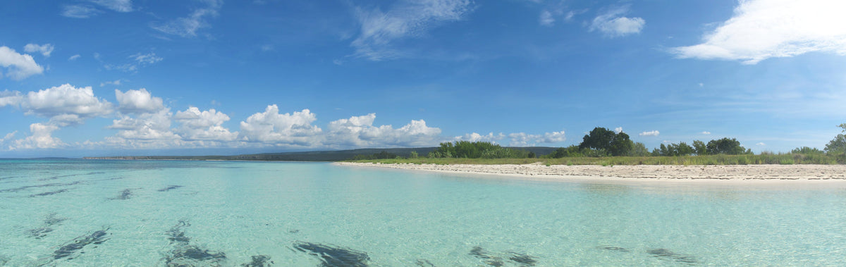 Bahía de las Águilas: cómo organizar tu visita al sur