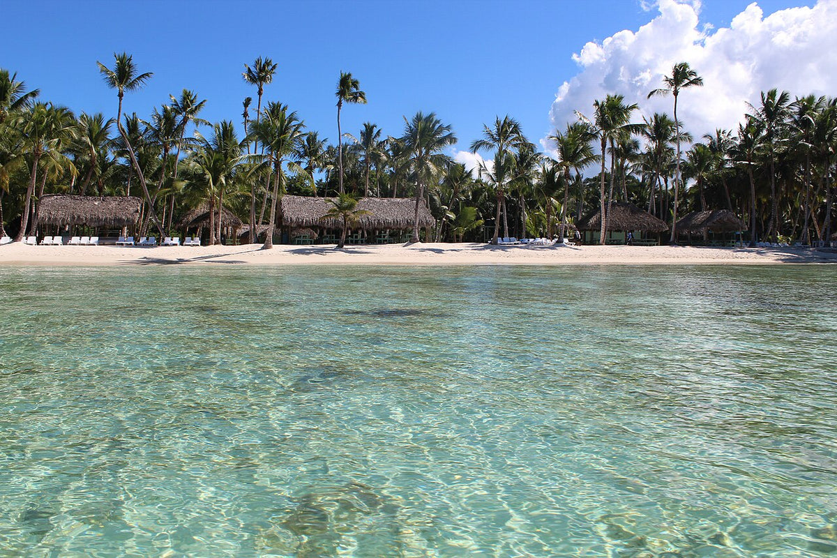Isla Saona: qué conocer y cómo elegir tu excursión