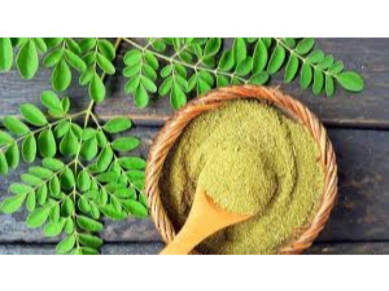 Moringa en Polvo - 3.5ozs - VillaCon Online